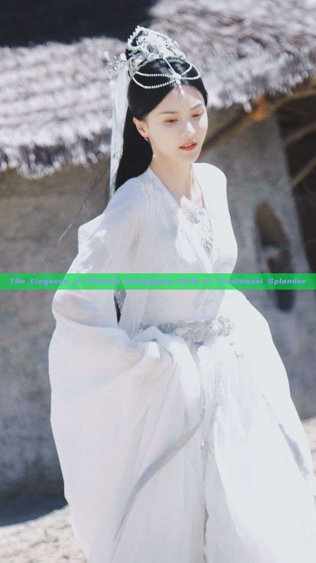 The Elegance of Chinese Cheongsam Girls in Traditional Splendor
