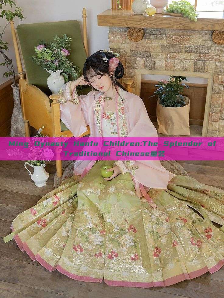 Ming Dynasty Hanfu Children:The Splendor of Traditional Chinese童装
